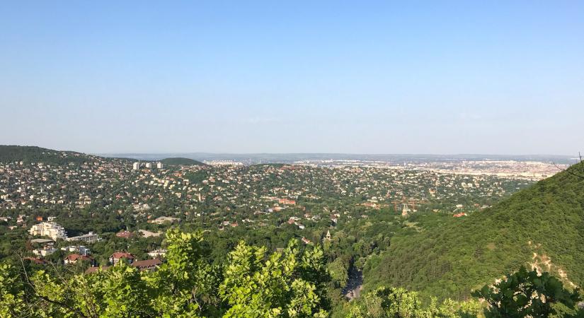 A természetvédelem és a környezeti nevelés kerül fókuszba a Normafán, erdei iskola lesz a vitatott beruházásból