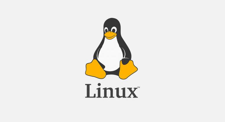 35 éve egy szerény Usenet-bejegyzéssel indult el a Linux története