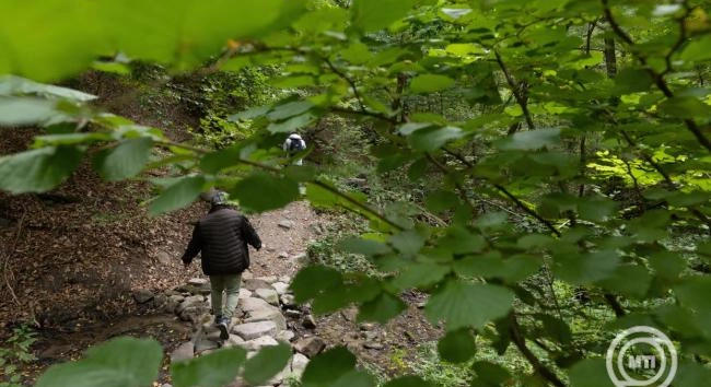 A védett erdőkben továbbra is tilos lesz a kitermelés a szociális tűzifához