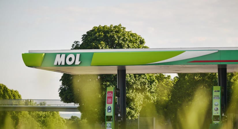 Dörzsölhetik a tenyerüket a Mol tulajdonosai