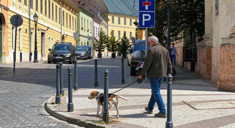 Büntetés kutyapisiért a Budai Várban – Kötelező lesz a kakis zsák mellett a vizespalack is, hogy a pisit leöblítsék a kutyasétáltatók a járdáról