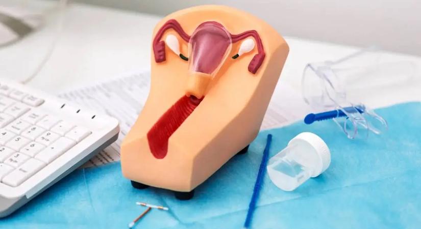 Meglepő felfedezés: a petefészek menopauza után is aktív maradhat