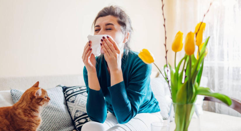6 módszer, amivel kevesebb parlagfűpollen juthat az otthonba