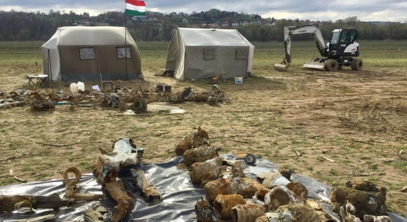 Lezuhant repülőgép roncsaira és emberi maradványokra bukkantak Ajka határában