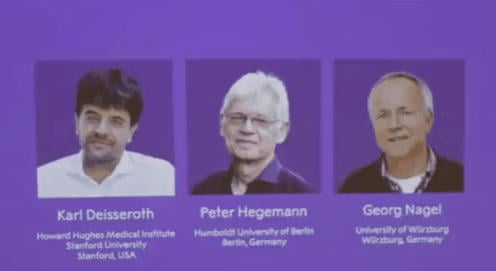 Fényérzékeny ioncsatornák felfedezéséért jár az orvosi Nobel-díj