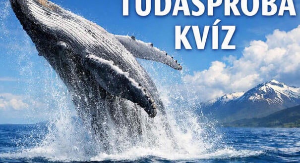 Tudáspróba kvíz: Ha legalább 5 kérdésre jó a válaszod, büszke lehetsz magadra (957)