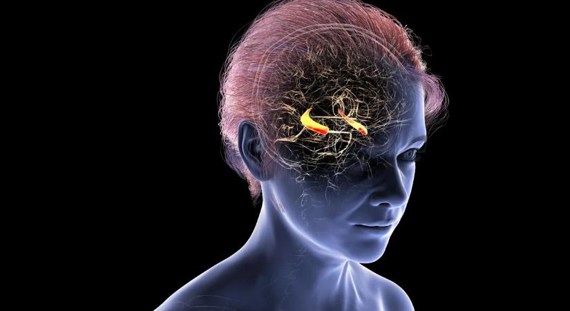 Rájöhettek, miért a nőket támadja inkább az Alzheimer-kór