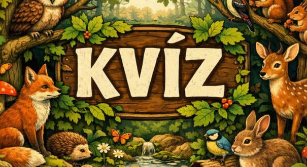 Kvíz: Nyolc jó kattintás és egy kis mosoly (601)