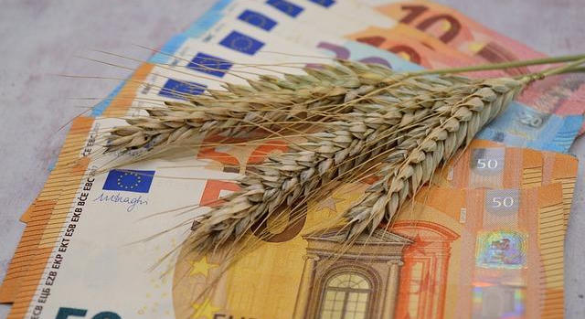 Majdnem 1 milliárd forintot fizetett aszály miatti kárigényekre a Groupama