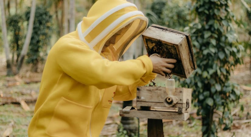 Az Amazon új AI-viselhető eszközei válthatják le az appokat