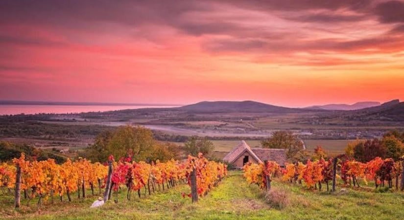 Milliós négyzetméterárak jellemzik a balatoni borvidéket