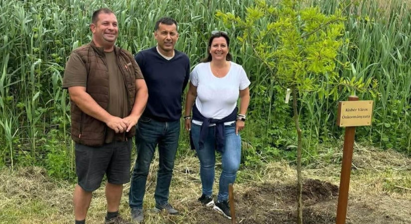 Megállíthatatlanul szépül a belváros: a város új színe a zöld