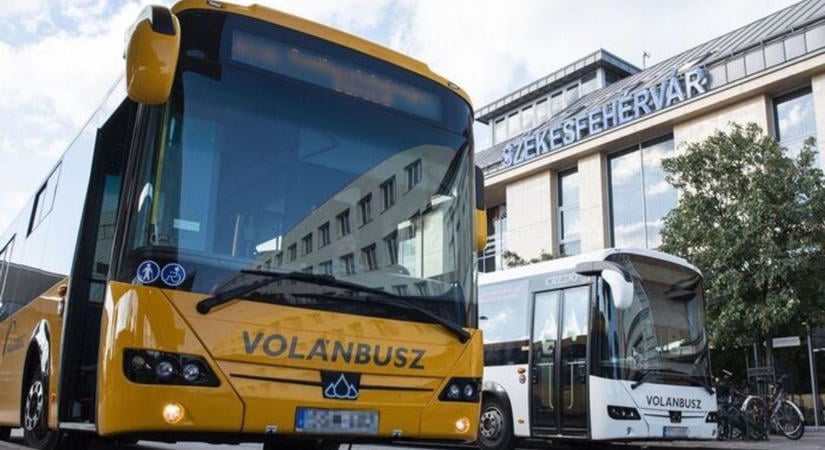 Rács mögé dugták a tomboló fehérvári nőt, aki buszsofőrt is bántalmazott