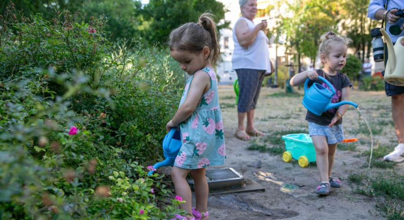 Árnyékolás és öntözés – ha ezeket nem oldod meg, fuccsba mehet az egész termés