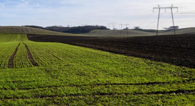 Népszámlálás erejű agrárösszeírás jön, nincs kibúvó – részletek