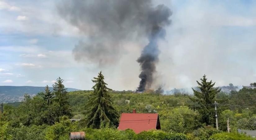 Tűz Törökbálinton: 39 hektáros területen lángol a növényzet, a polgármester kéri, hogy a környékbeliek ne tartózkodjanak a szabadban