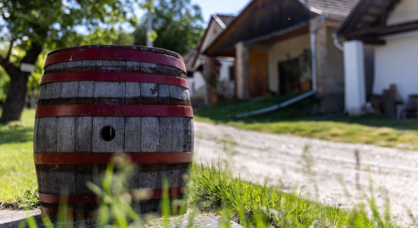 Minden az időjáráson múlik: ezt várják idén a neszmélyi borászok az idei szőlőterméstől