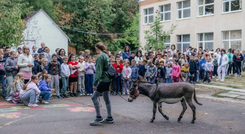 Foki és Bettina utolsó kilométerei: tízezer gyerekhez vitték el az állatvédelem üzenetét