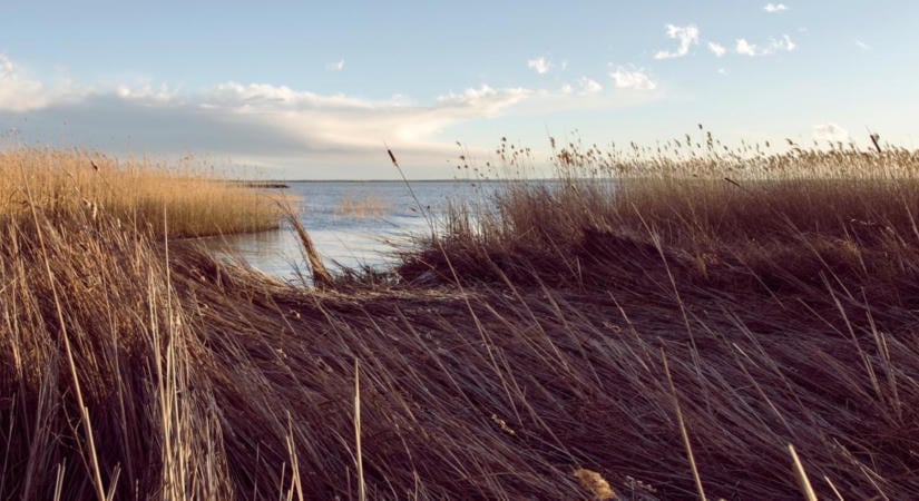 80 helyszínt szálltak meg a kutatók a Balatonnál, ezt vizsgálják