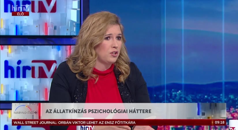 Az állatkínzás pszichológiai háttere