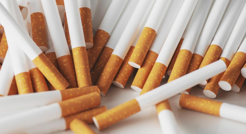 NAV: cigarettakígyók a trélerben