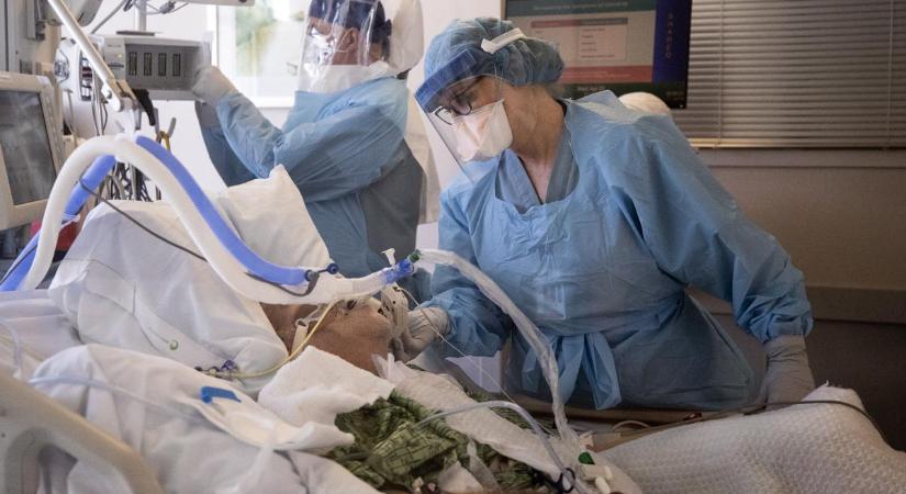 Meghaladta a félmilliót a koronavírus áldozatainak száma Amerikában