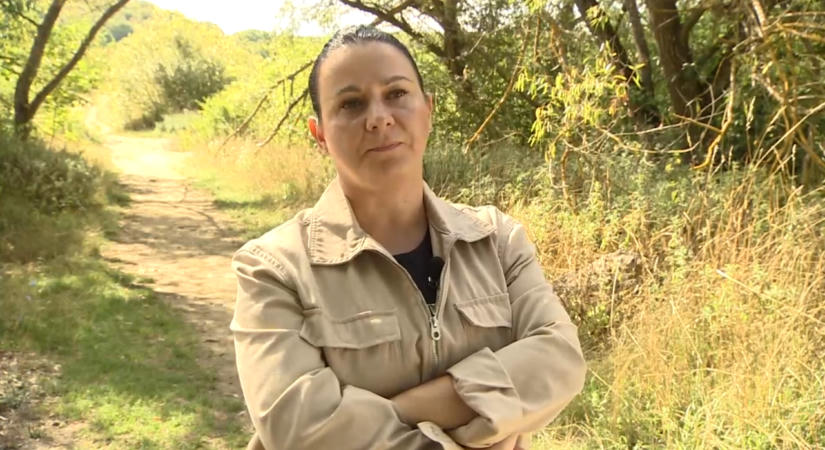 Erdőbe csalhatták, majd megalázhatták társai a 13 éves lányt Nagykovácsi közelében