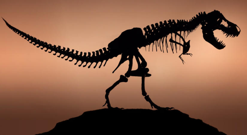 Helló, Kanadaszaurusz! Retteghet a T-Rex, mert új tyrannosaurus-fajt fedeztek fel a tudósok