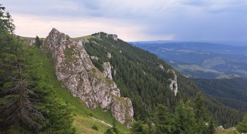Csak a Békás-szoros térségében él a világ egyik legritkább növénye