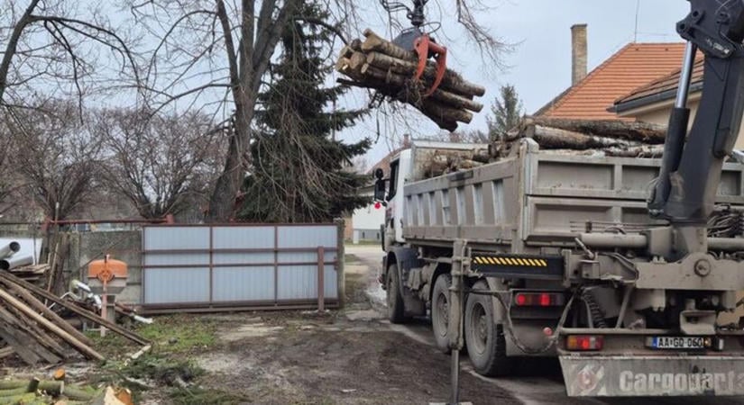 Jó hírt kaptak a tűzifával fűtők a szezon előtt