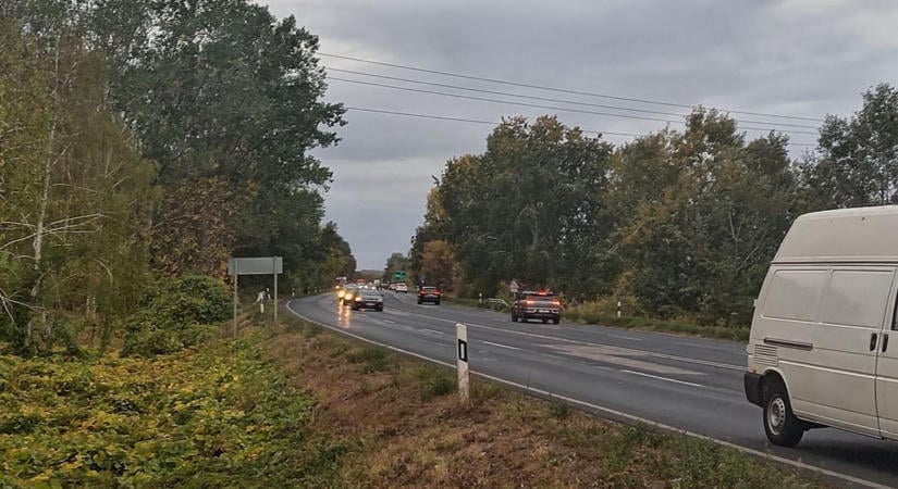 Beverte busz szélvédőjét a kidőlt fa a 6-os úton