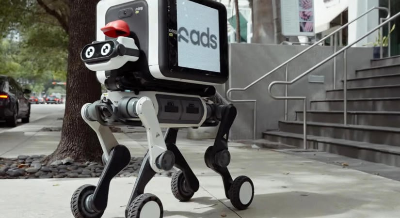Balesetet okozott, majd elhajtott a helyszínről egy futárrobot