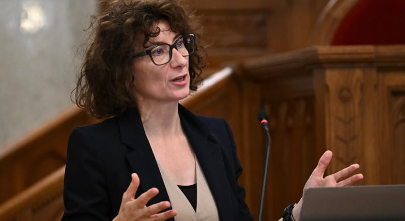 Gyurkó Szilvia: A gyermekvédelmi szakma a poszttraumás stressz állapotában van