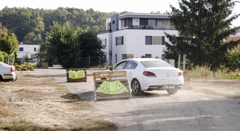Nem a lakók hangyásak, hanem az út veszélyes