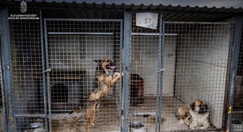 Az ebrendészeti rendszer korszerűsítését szorgalmazza Gajdos László