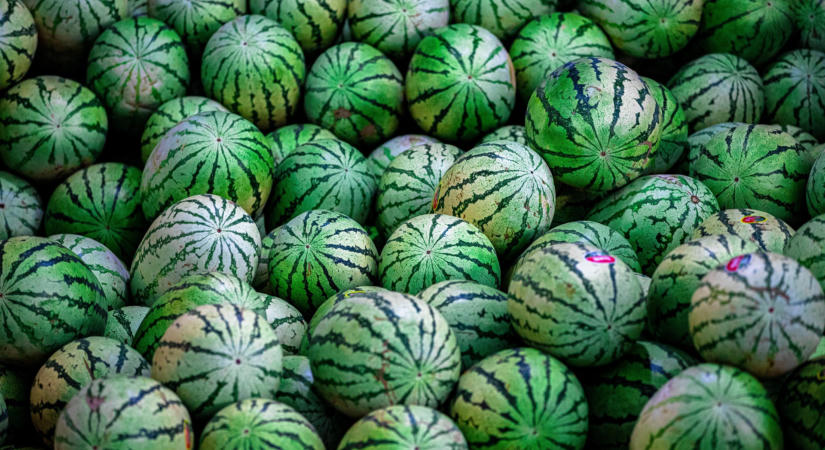 Csökkent az export, de továbbra is nettó exportőrök vagyunk