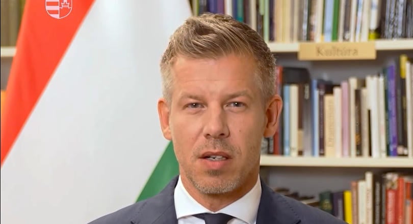 Magyar Péter meggyilkolásáról beszéltek a HírTV-ben: kirúgták a műsorvezetőt