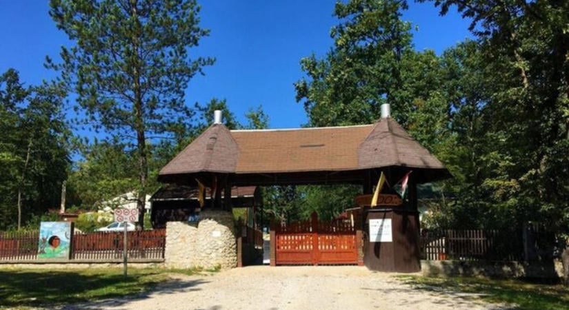 Ettől cukibbat ma biztosan nem látsz! Hat kölyökkel gazdagodott a Miskolci Állatkert – fotókkal
