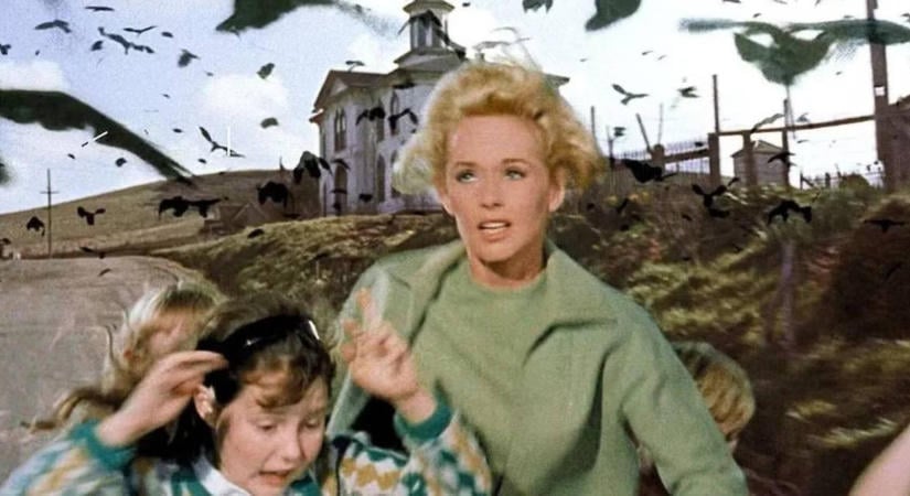 Az HBO visszahozza Hitchcock horrormadarait, már a főszereplő is megvan