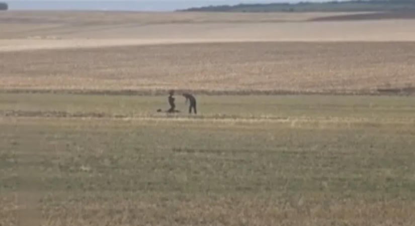 A román–moldovai határnál zümmögő szerkezetet talált egy birkapásztor, robbanótöltetű drón volt