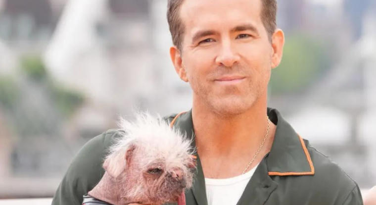 Ryan Reynolds állítólag Karácsony Gergelyt hívta fel, hogy megmentsen egy budapesti forgatást