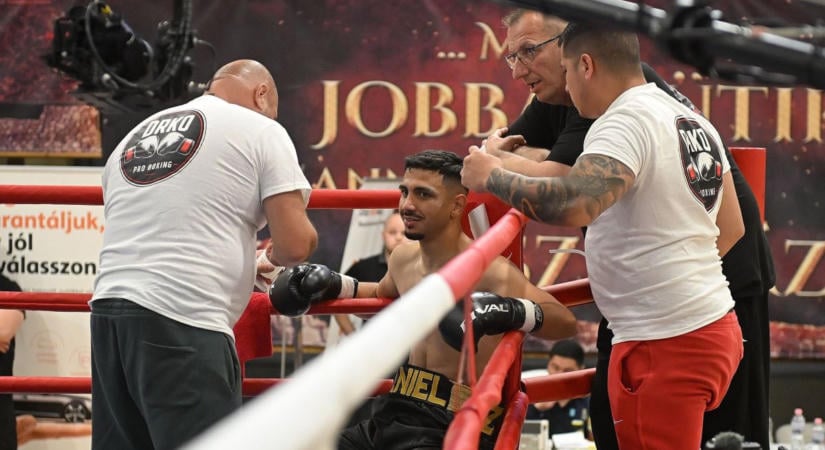 Nemzetközi elit és profi csaták: Három ringben zajlik a 9. Eger Boxing Cup