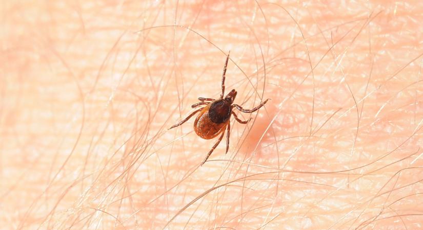 Veszedelmes fertőző betegségek leselkednek a magyarokra: kevesen tudják, milyen könnyű elkapni őket