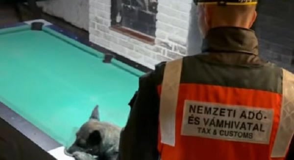 Razzia Miskolcon: elfogások, előállítások, feljelentések