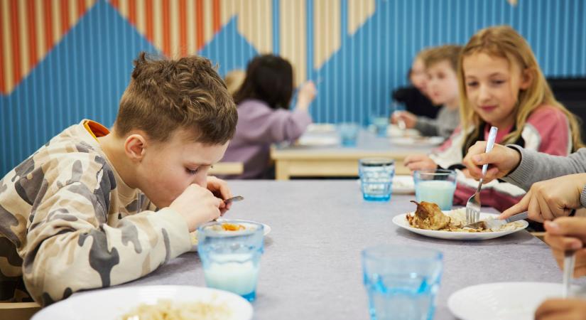 Jól jönne a kormány segítsége: egyre drágább a gyermekek diétás menzája