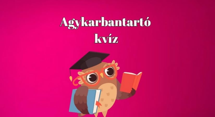 A kvízműhely jelenti - Napi kvíz, amitől az agyad felpörög és a kedved is jobb lesz