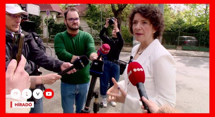 Fontos bejelentést tett Dobrev Klára, mivel 300 ezer forintot fizetett, hogy ne lopják el a hangját – Most uniós változást akar