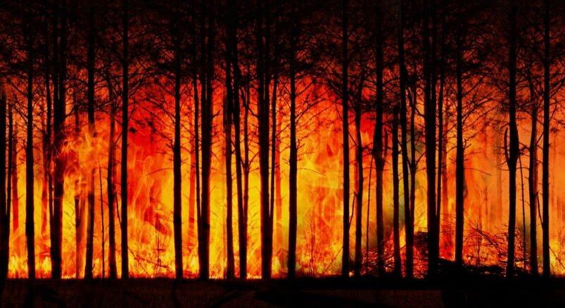Lángol a kelebiai erdő, a szél nehezíti az oltást