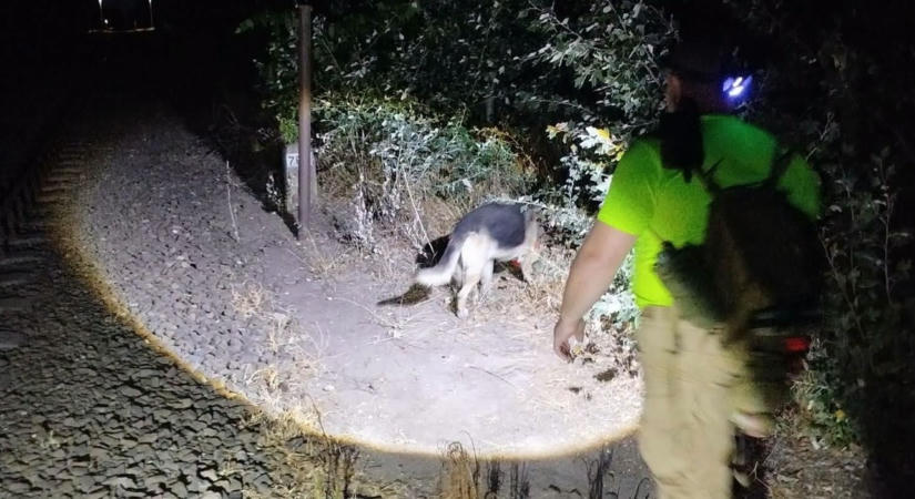 Eltűnése előtt még felhívta édesanyját a bulizás után kámforrá váló András - Rejtélyes autósról beszél a testvére