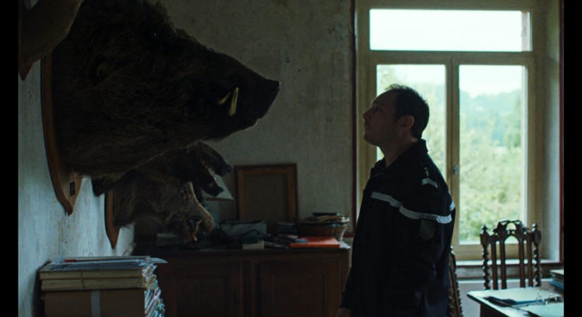 A penészfoltból induló társasházi kálvária és a vaddisznók is győztek a miskolci filmfesztiválon